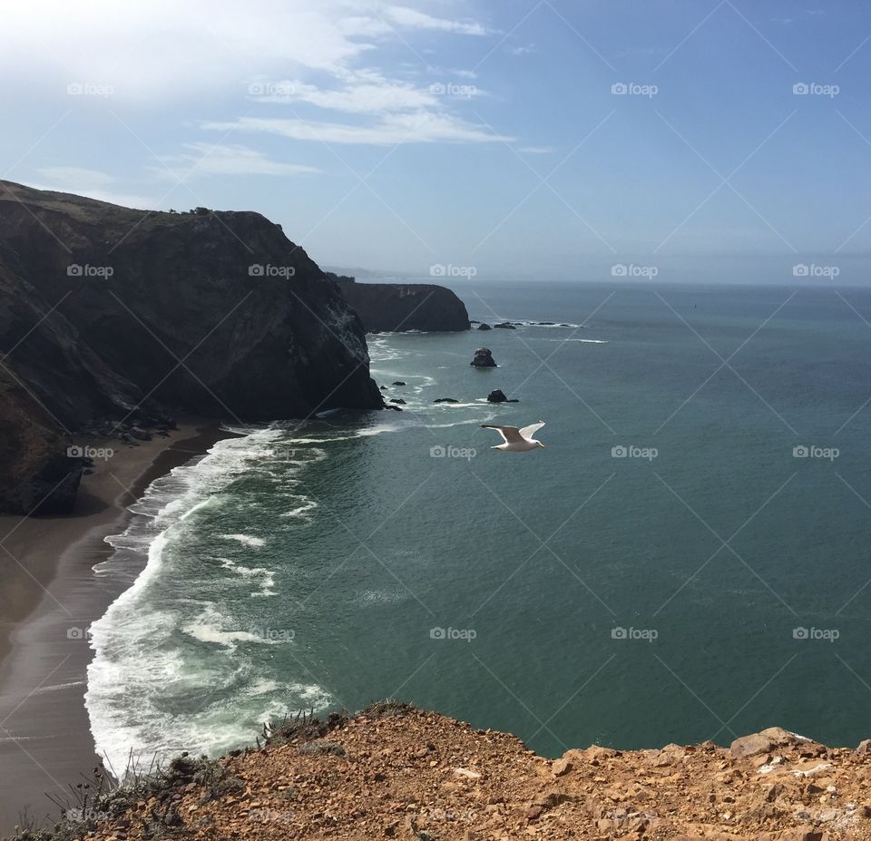 California coast in Marin