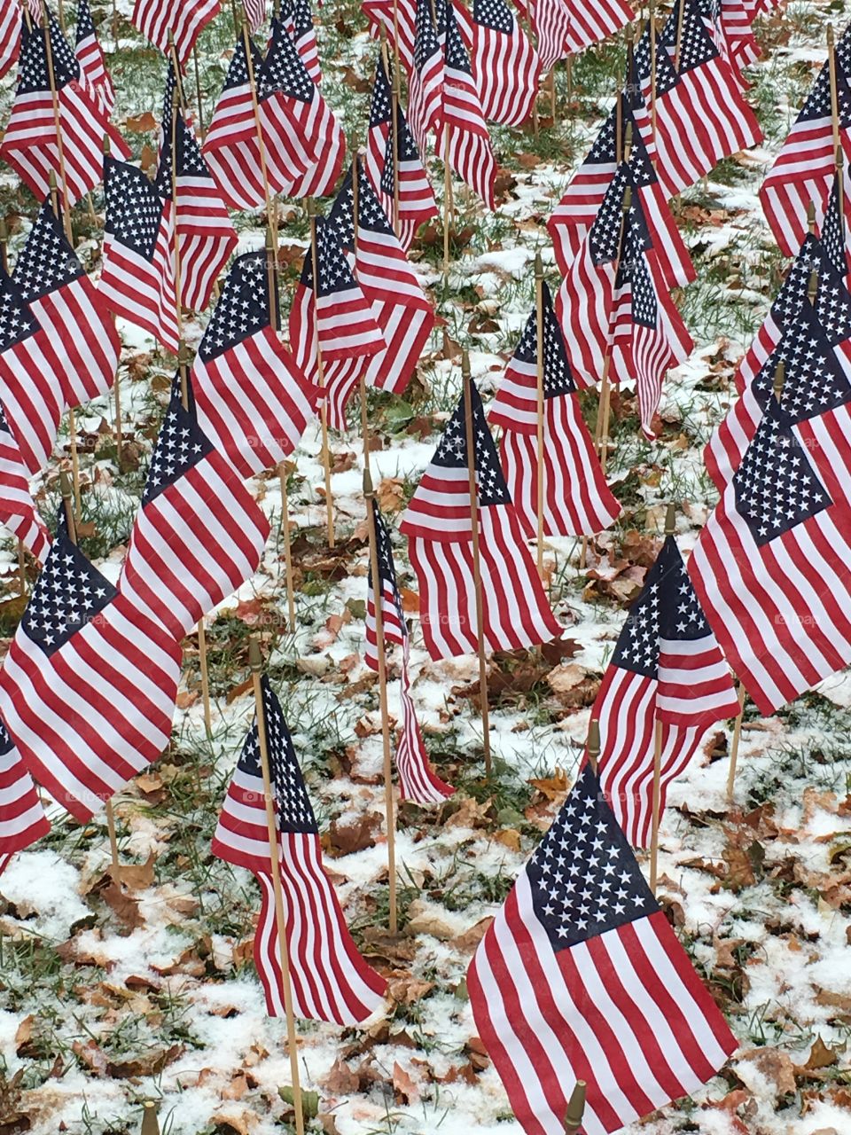 Flags in the snow 