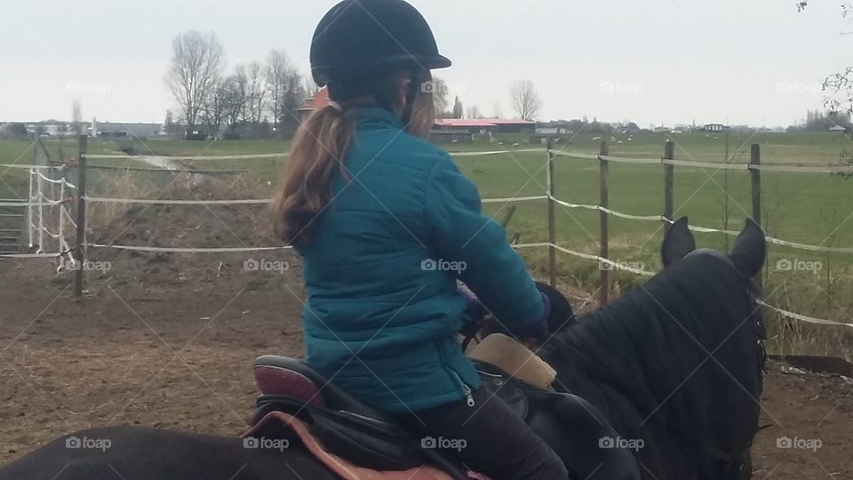girl on big horse the netherlands