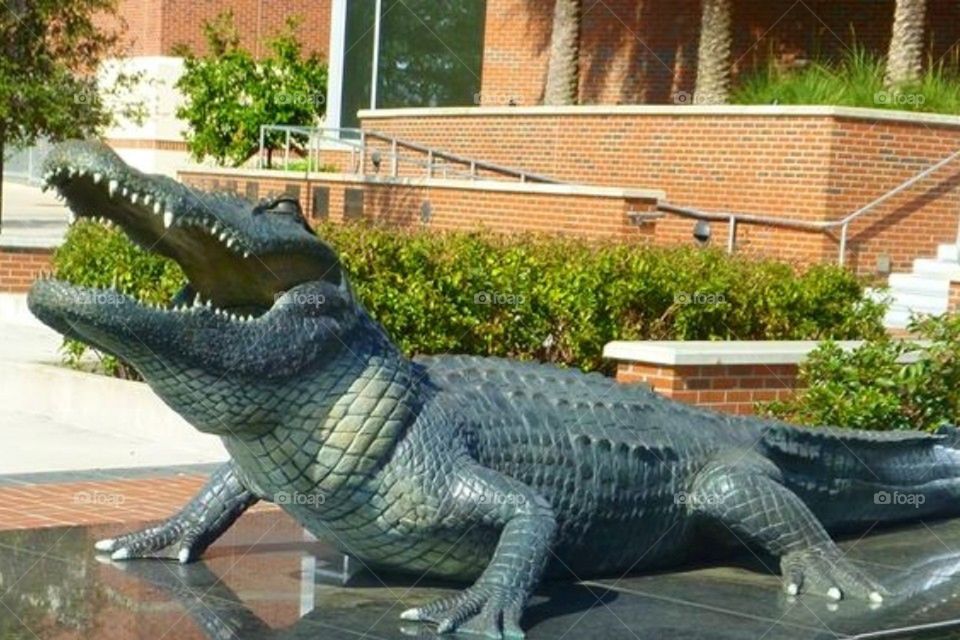 Gator2