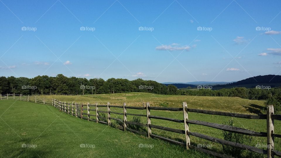 Fence over Field
