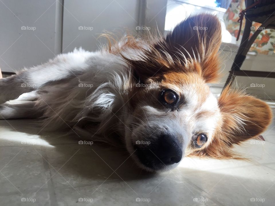 I don't feel like doing anything 