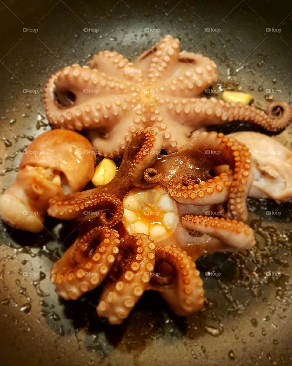 sizzling octopuss