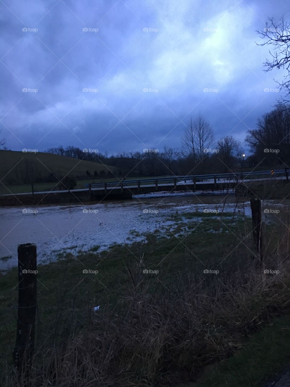 High Water in Field