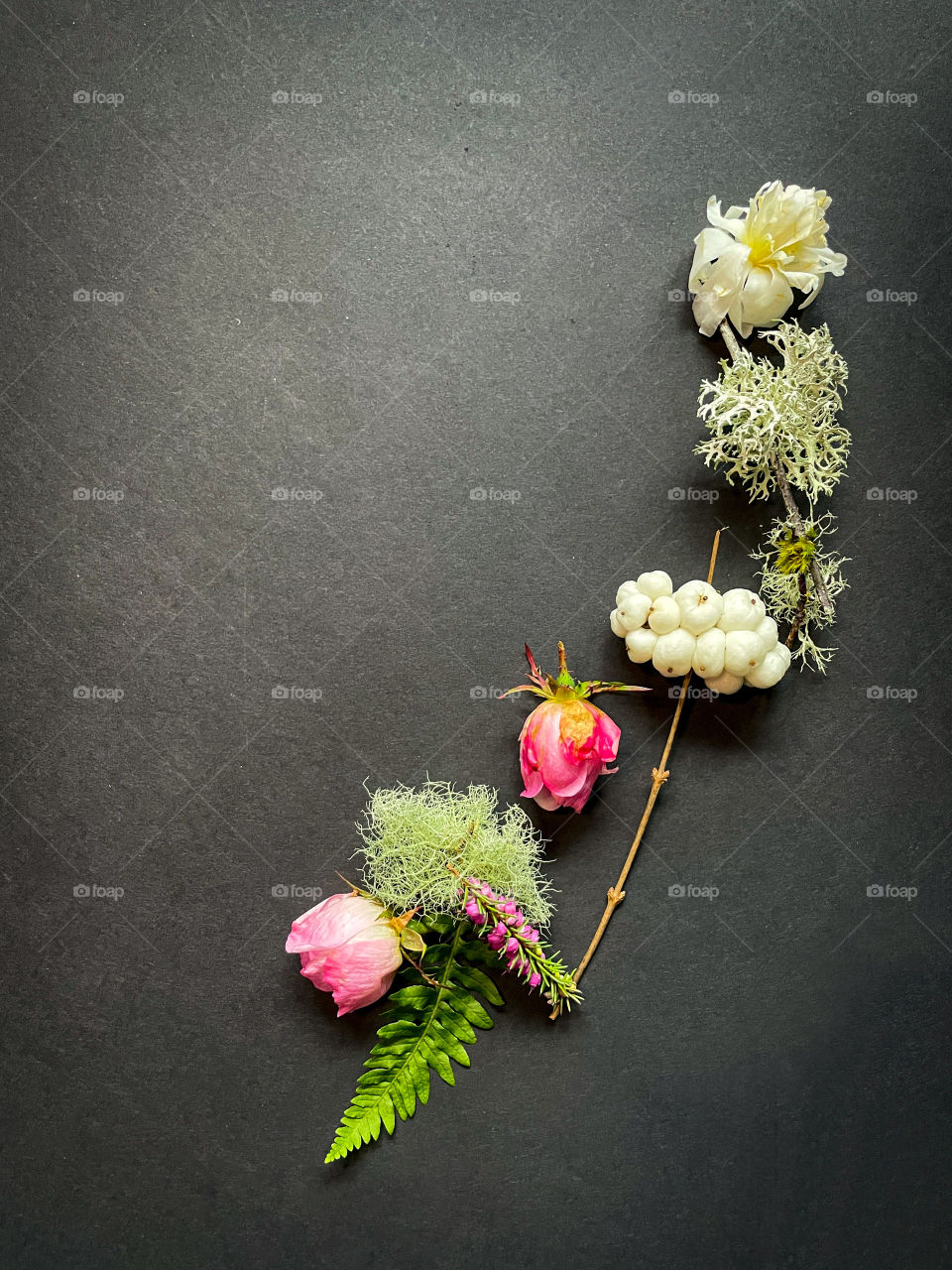 Flatlay of Pacific Northwest foliage including evergreens, berries, flowers, moss, and leaves. 