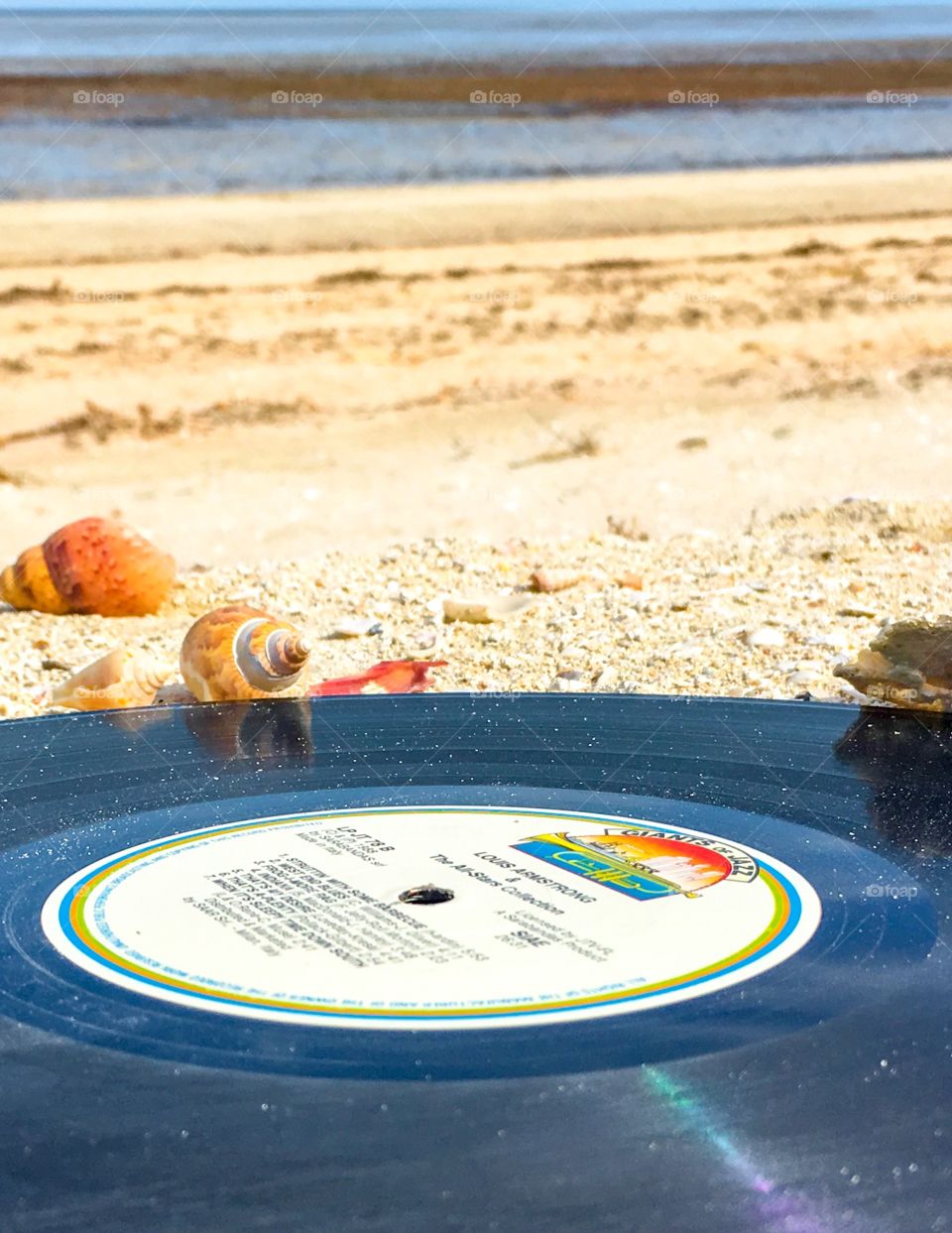 Records vinyls on the seashore, beach in the sand, ocean view and horizon 