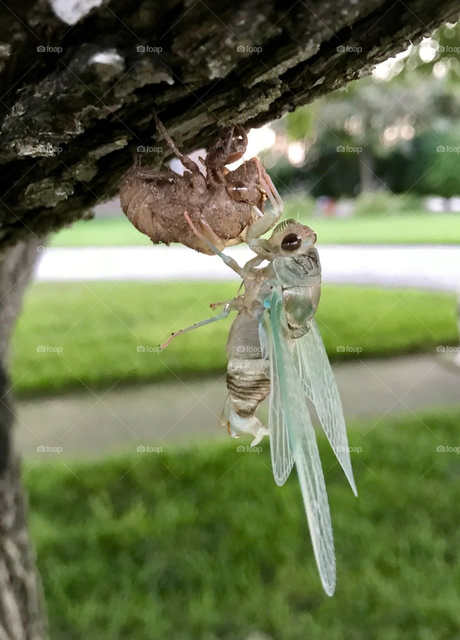 Coming out of my skin 