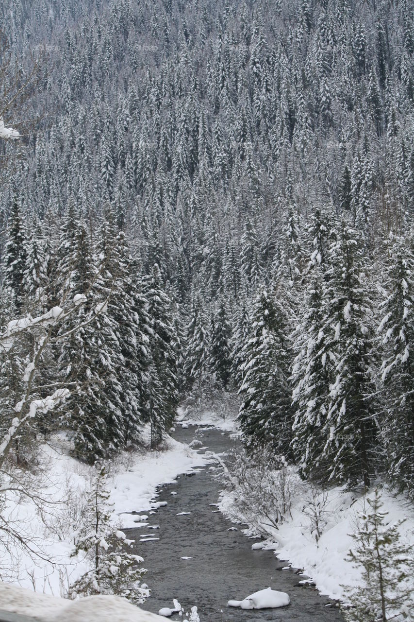 Winters Stream