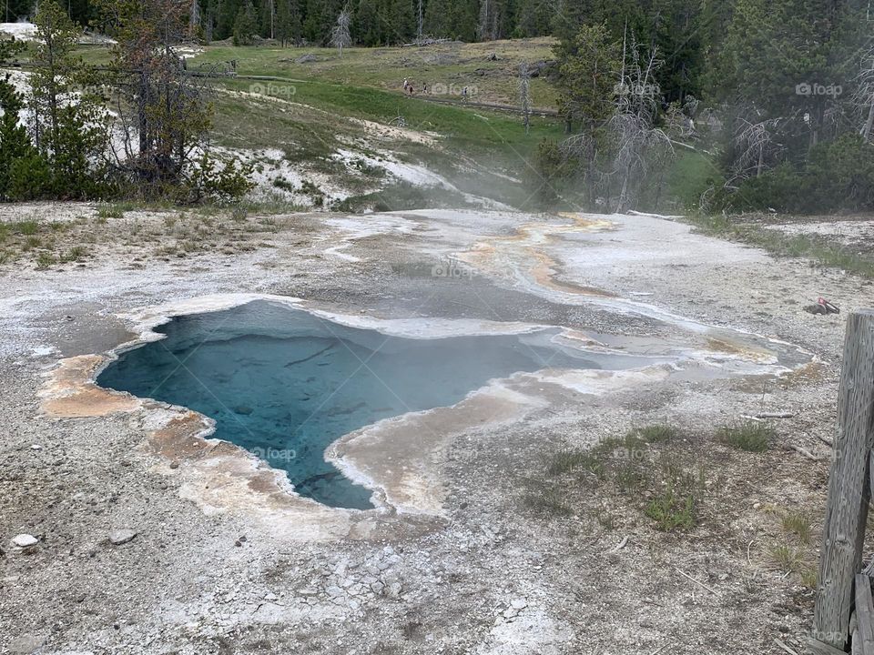 Yellowstone 