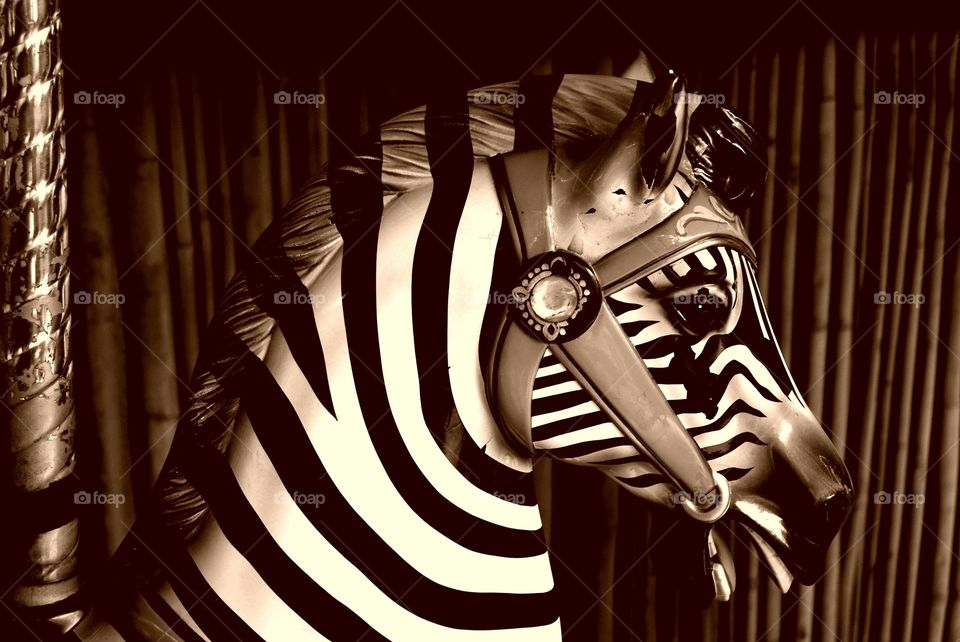 Carousel Zebra
