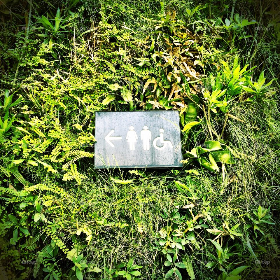 A toilet sign in a patch of grass wall
