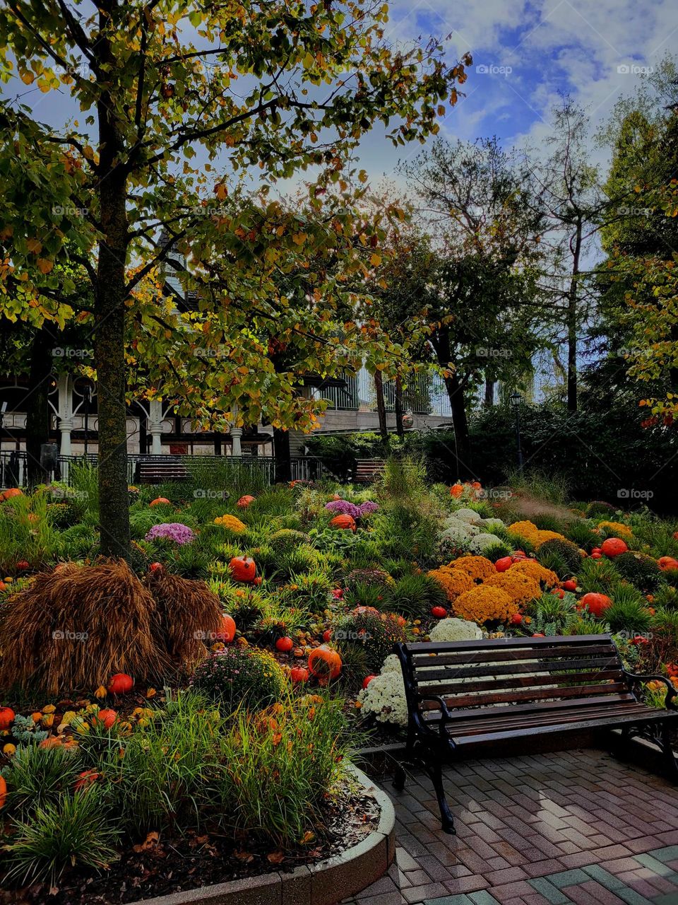 autumn vibes🍁🍂