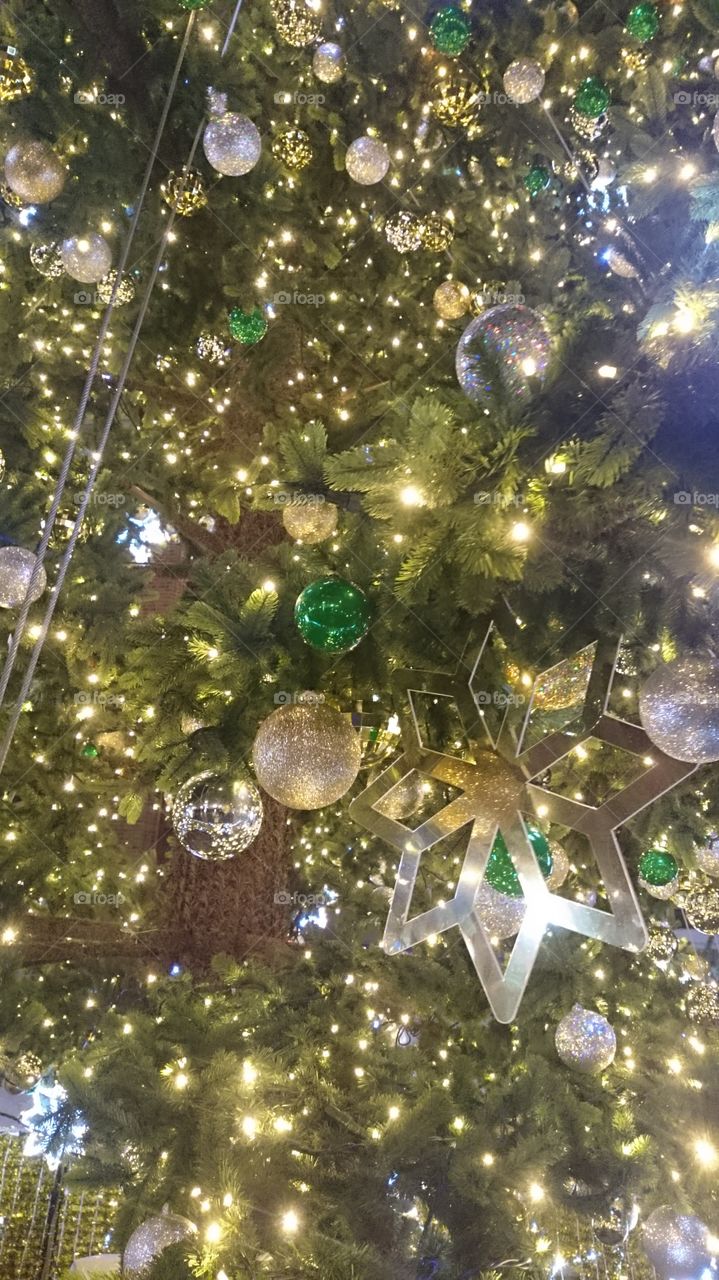 Christmas tree in Gdańsk