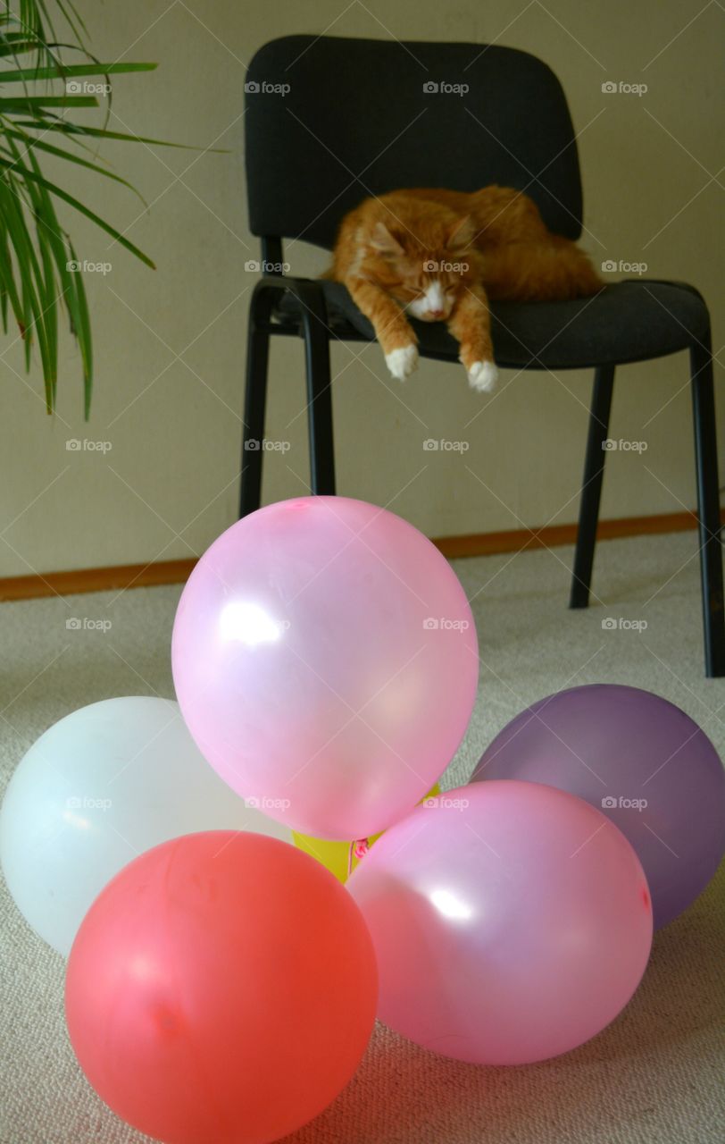 No Person, Indoors, One, Balloon, Interior Design