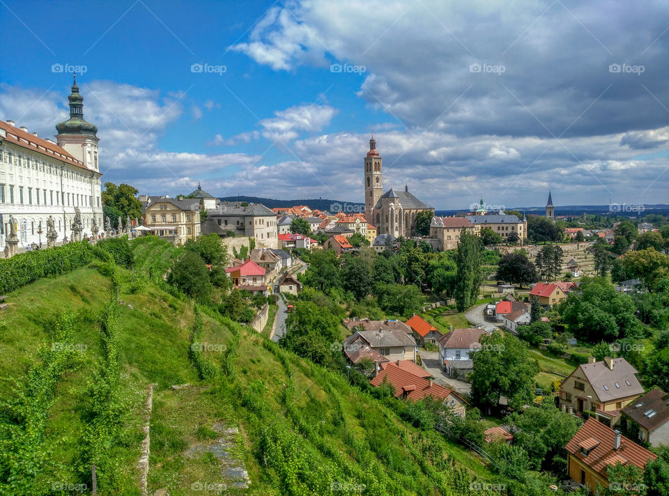 A cityscape of Kutna Hora with grape yards on a hill slope, Czech Republic
