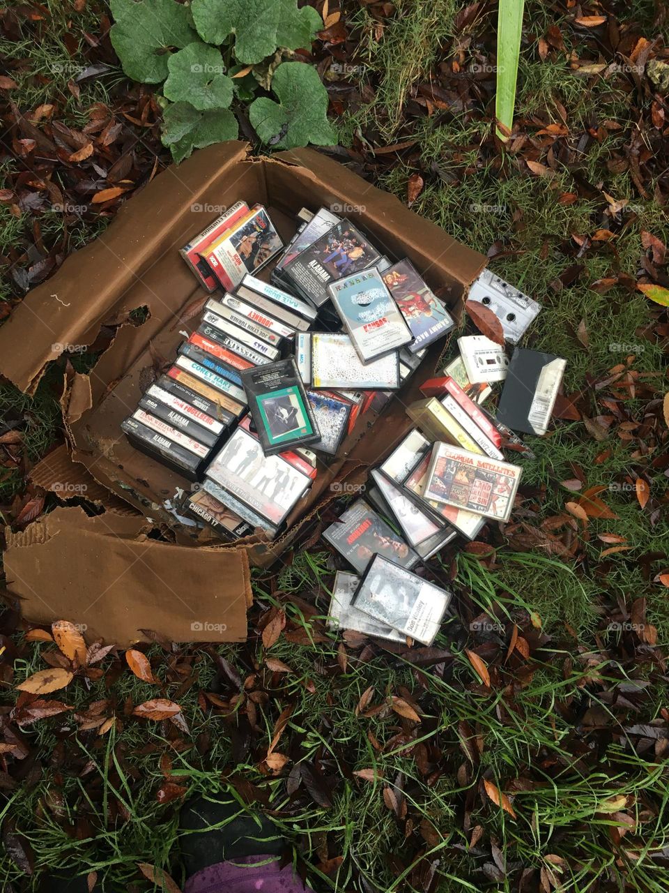 Late 80’s and early 90’s cassette musical collection released from attic  