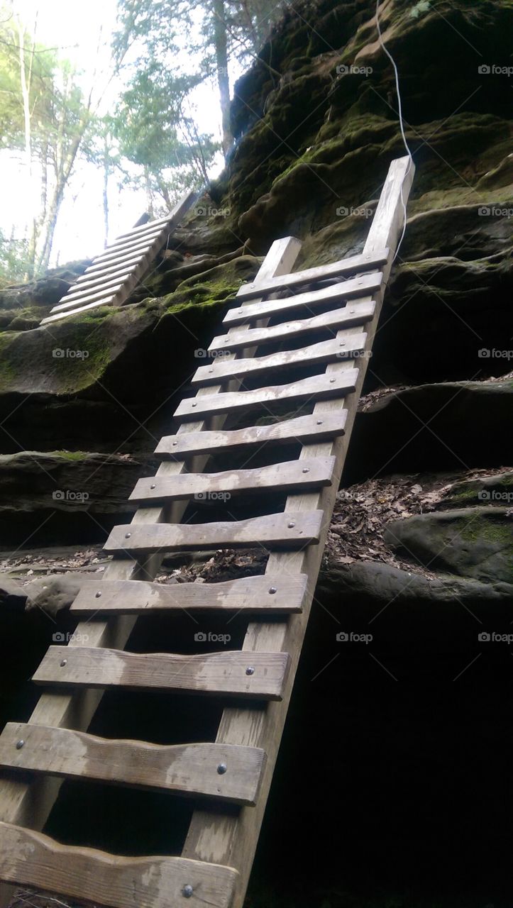 Ladders. Turkey Run State Park
