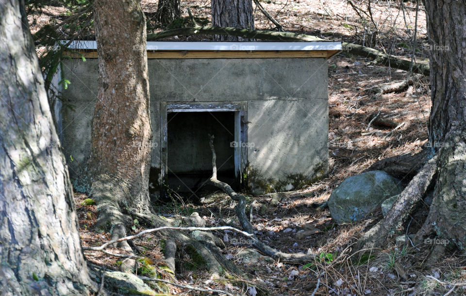 Old Building in the Woods, Poconos, PA