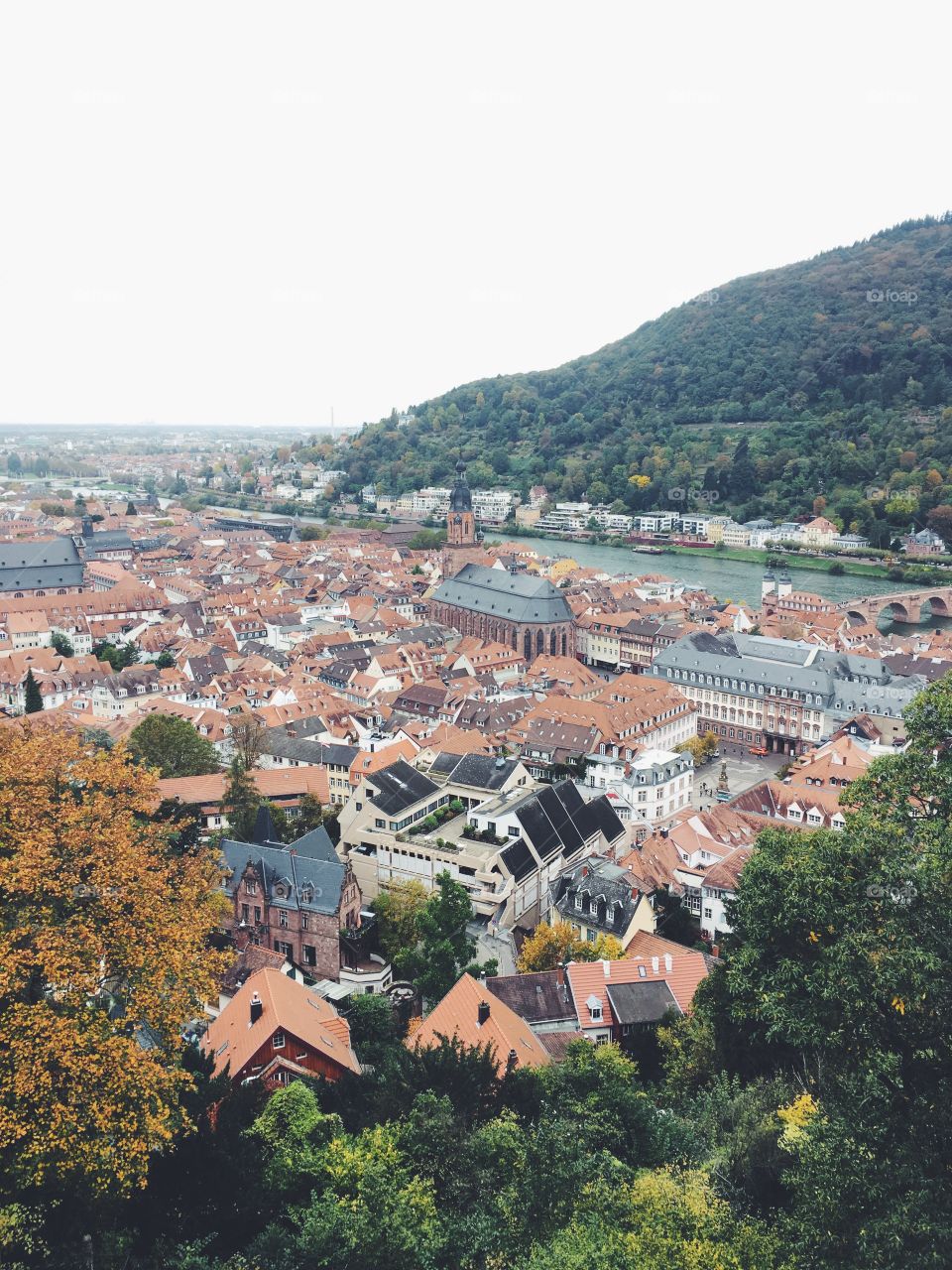 panorama view heidelberg