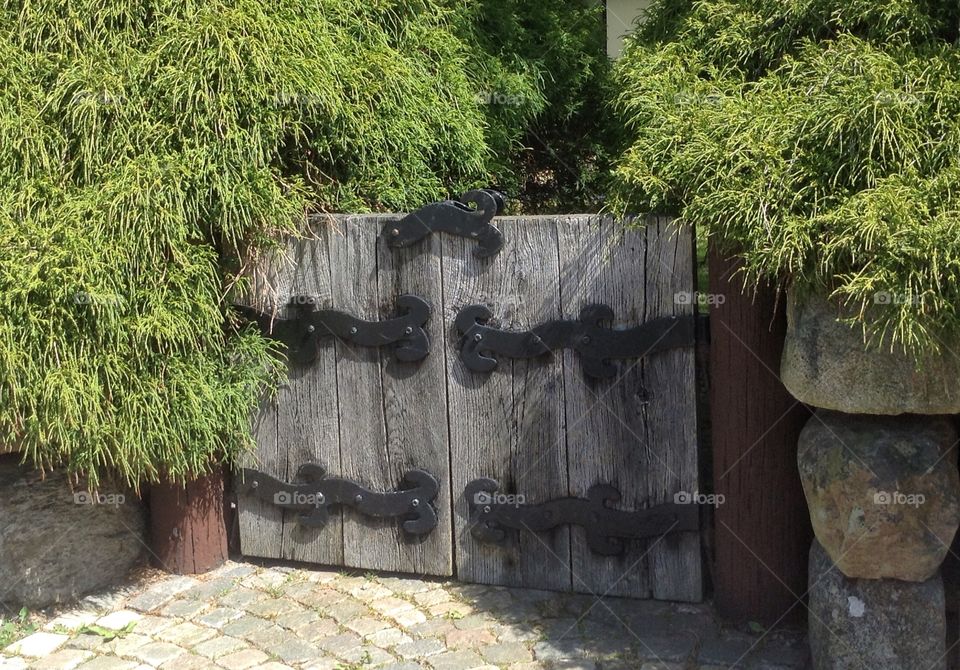 Garden, gate. Garden, gate