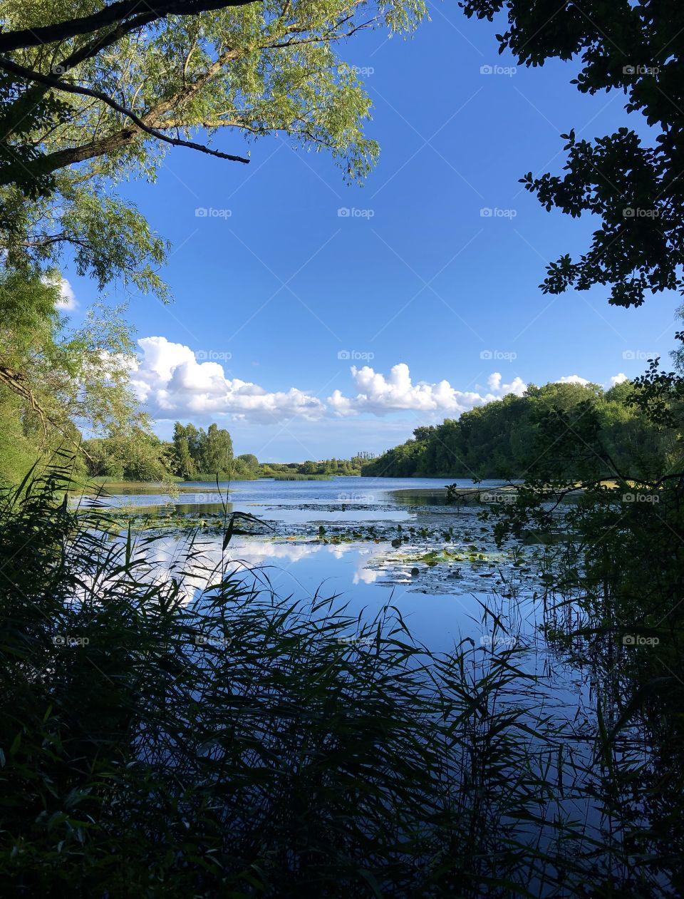 Lake with a beautiful view