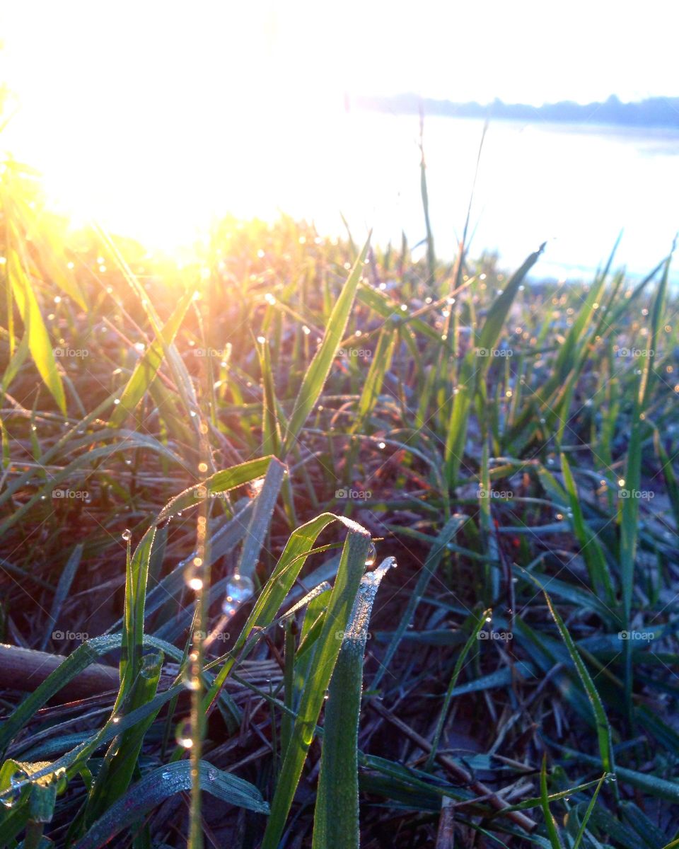 mythical dawn on the river