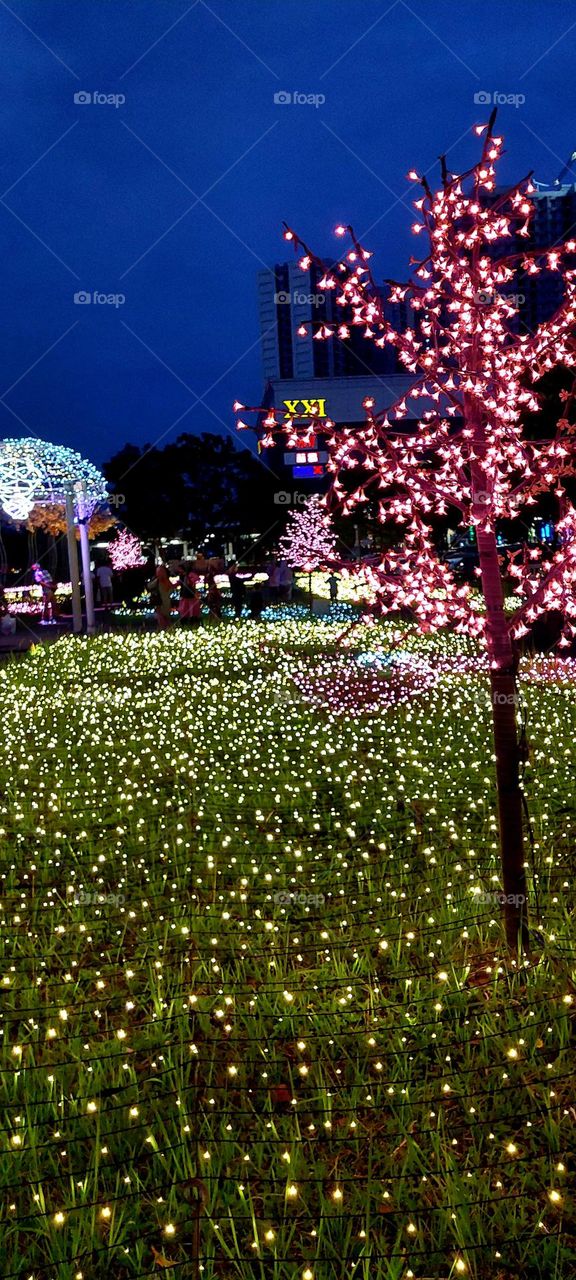 Sakura Illumination Park is a cherry blossom park designed by using thousands of beautiful lights that spread out in a park at AEON Mall BSD