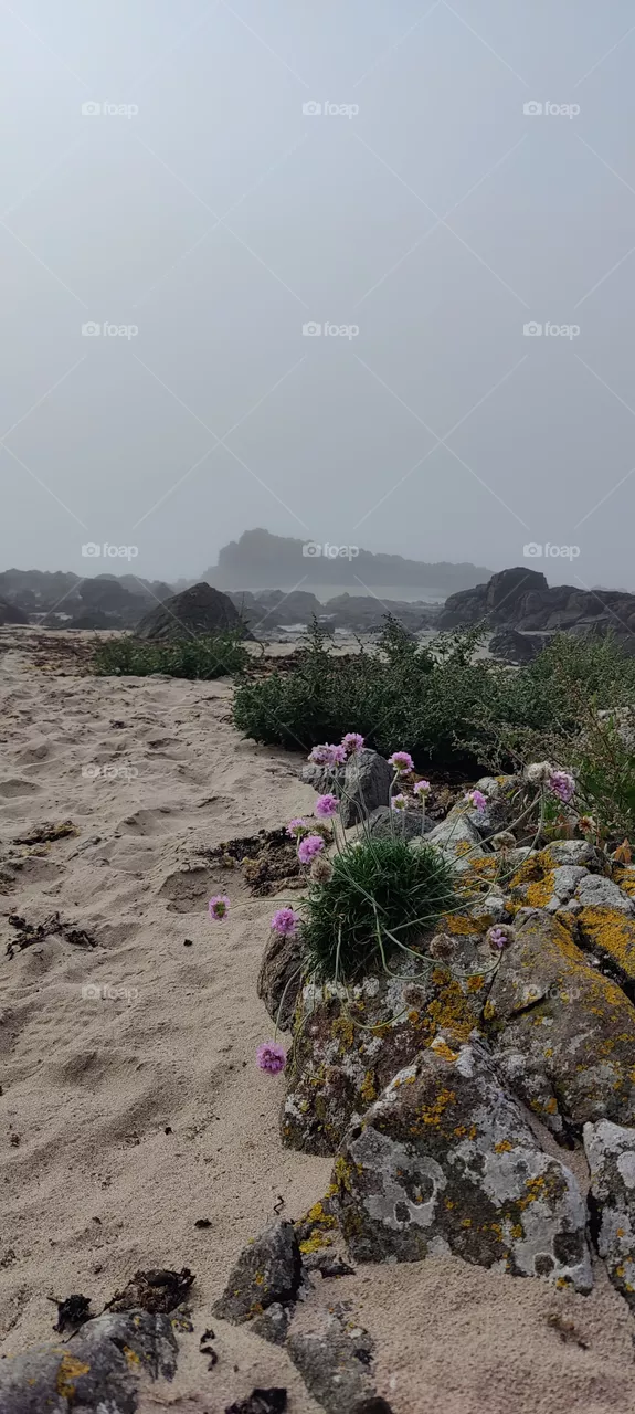 Scottish Beach