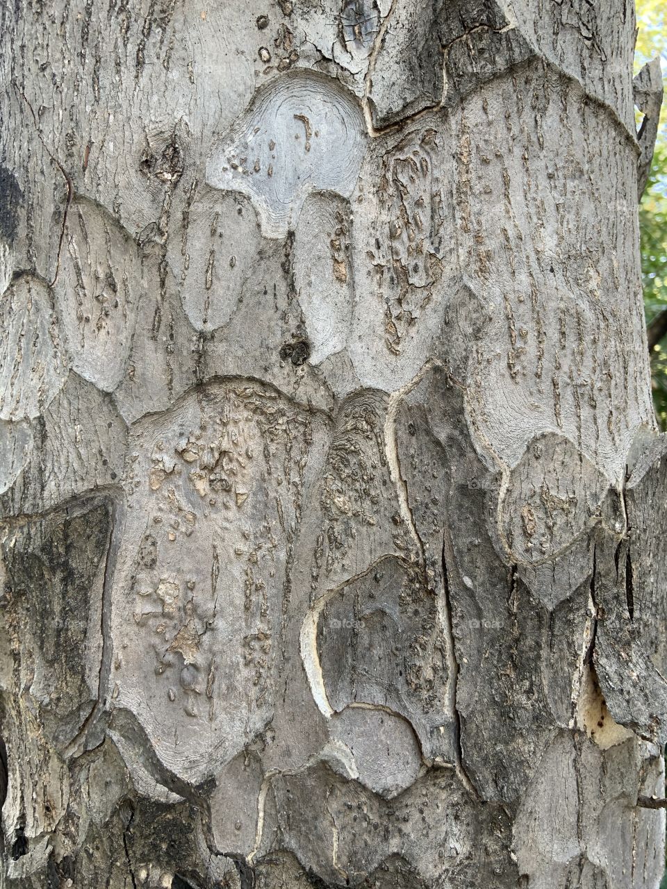 Texture of the nature, Countryside (Thailand)