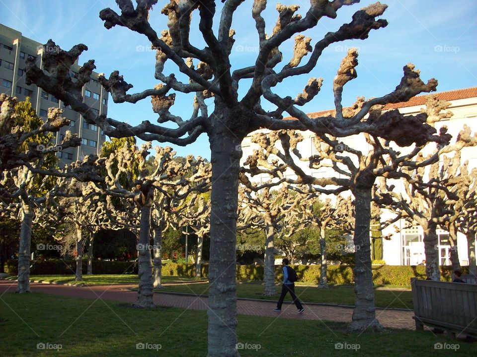 part of the University of California, Berkeley campus