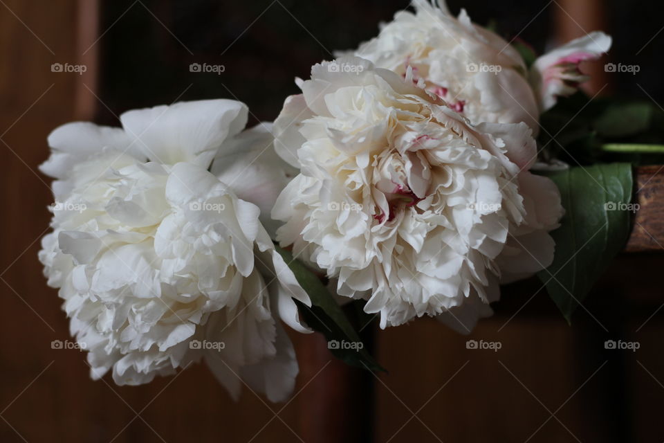 my favorite flowers is peonies