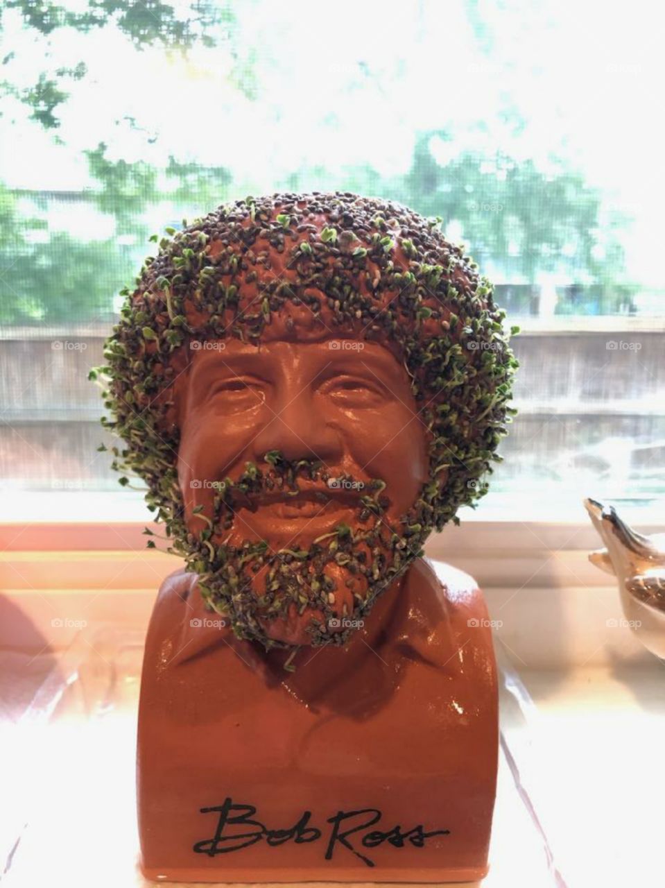 so I gave my granddaughter this Bob Ross Chia Pet when she was visiting we have always loved Bob. his hair if finally coming in🤣 she cant stop giggling