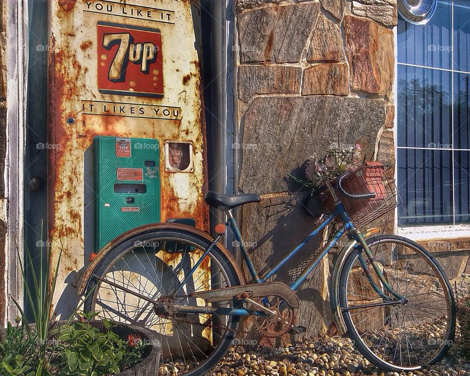 You Like It, It Likes You