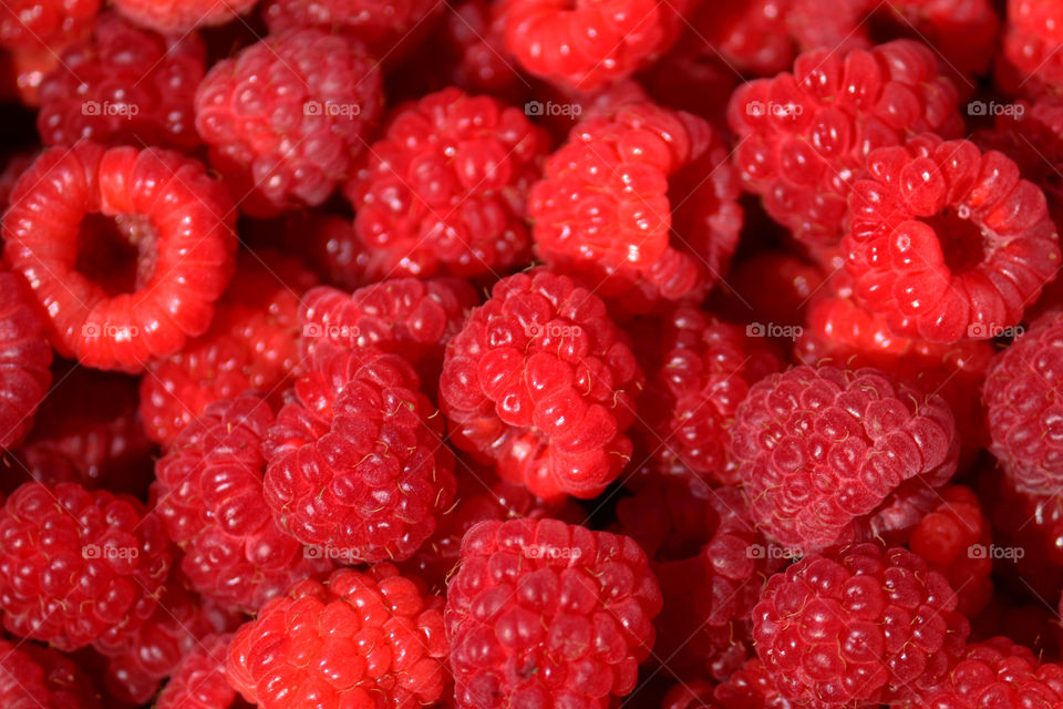 raspberry