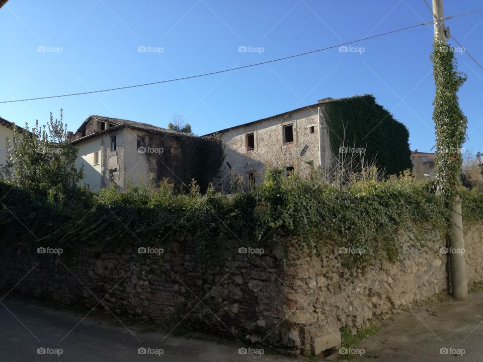 Nature invades abandoned buildings