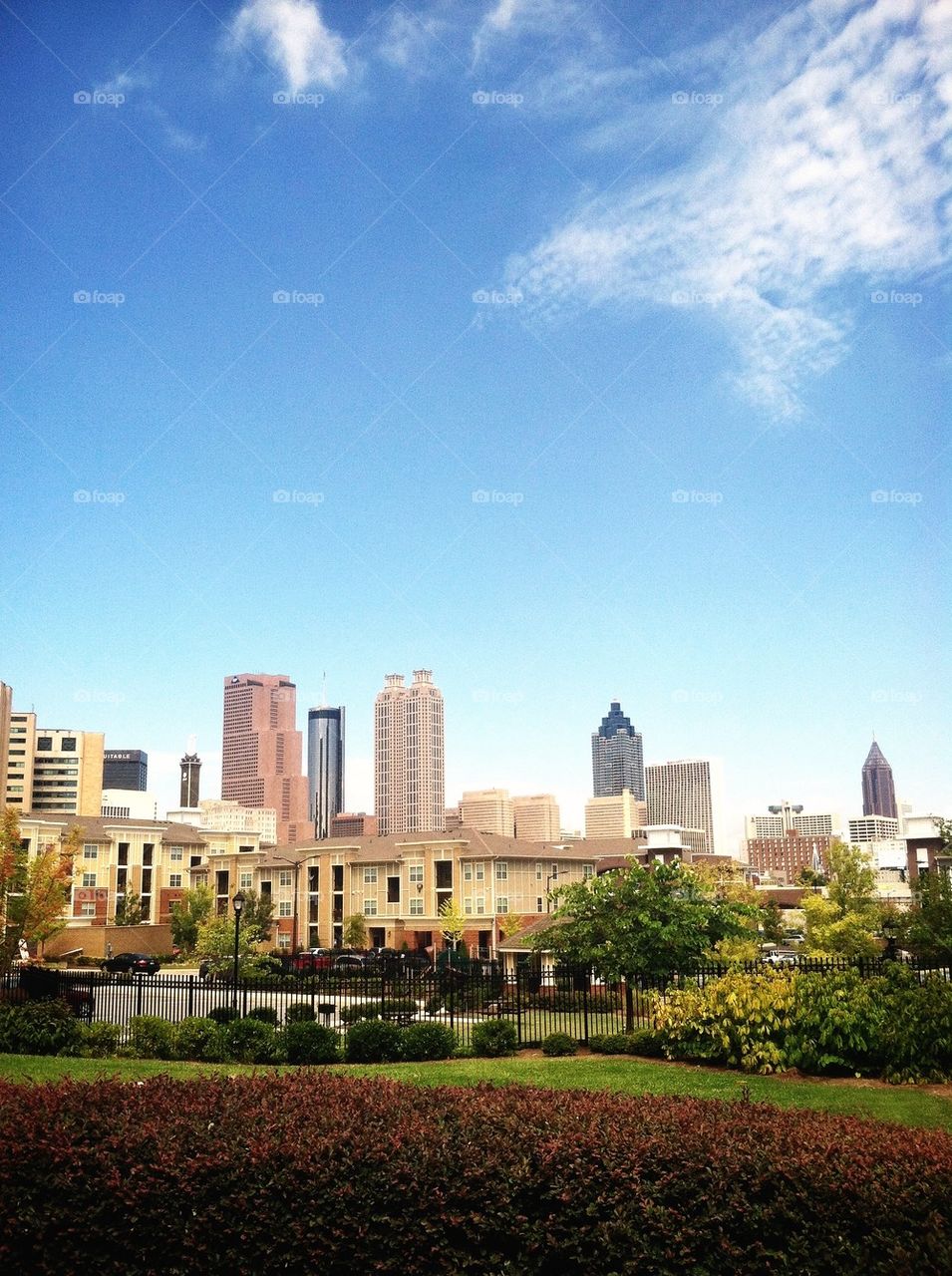 Park in front of skyline