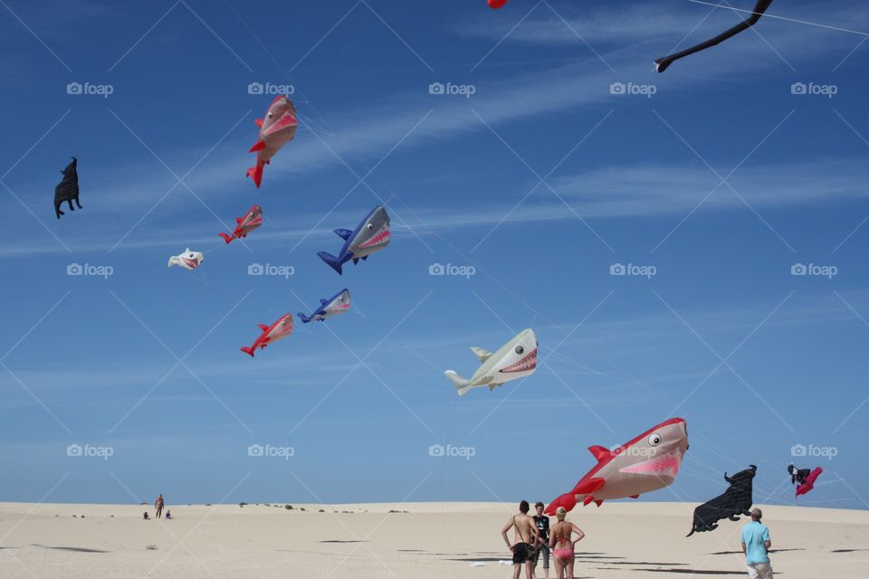 People enjoying kite flying at beach