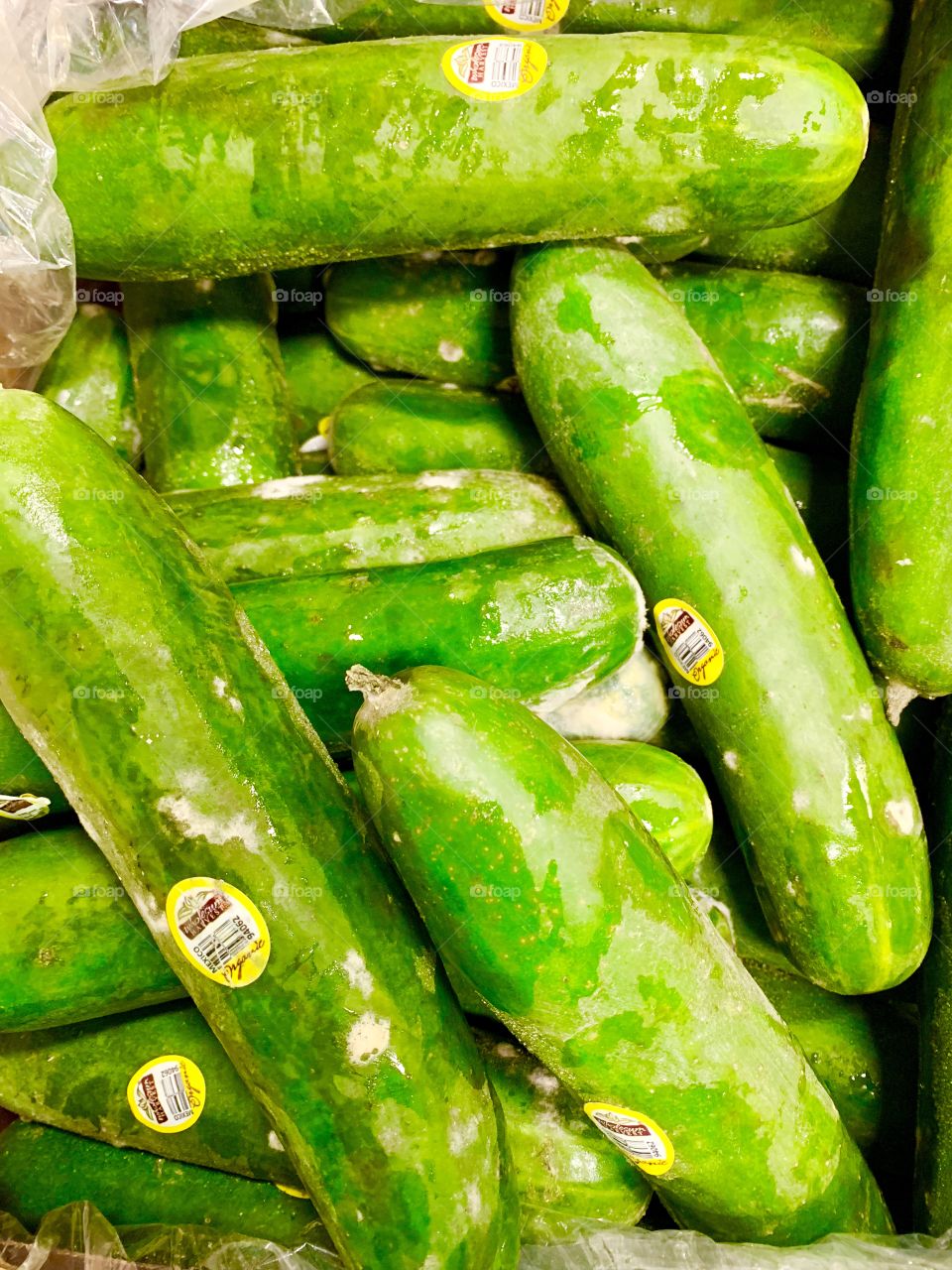 Cucumber moldy rotten product
