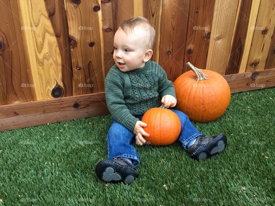 Child, Fall, Halloween, Pumpkin, Wood