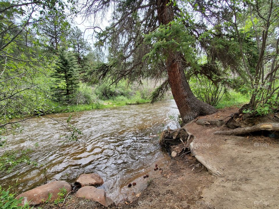 Mountain river scene