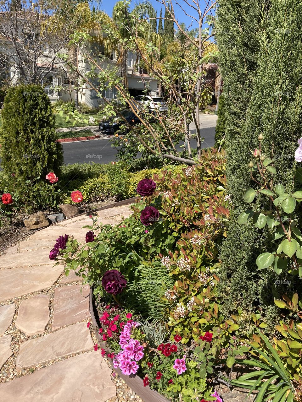 Along the garden path 