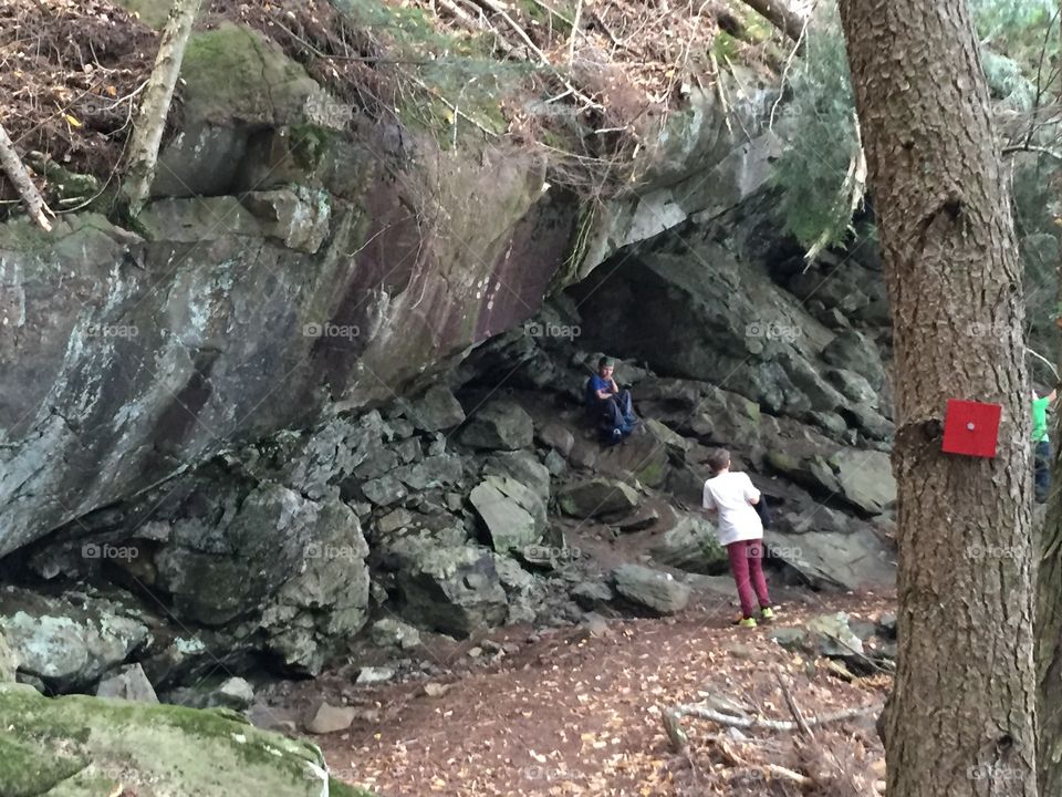 Rock face possible bear den 