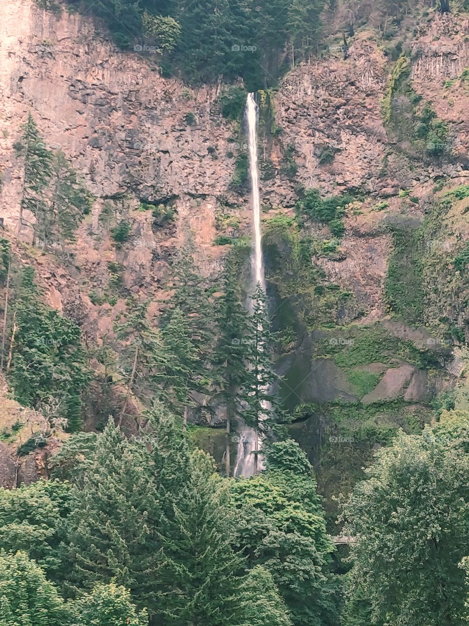 Multnomah Falls in Oregon