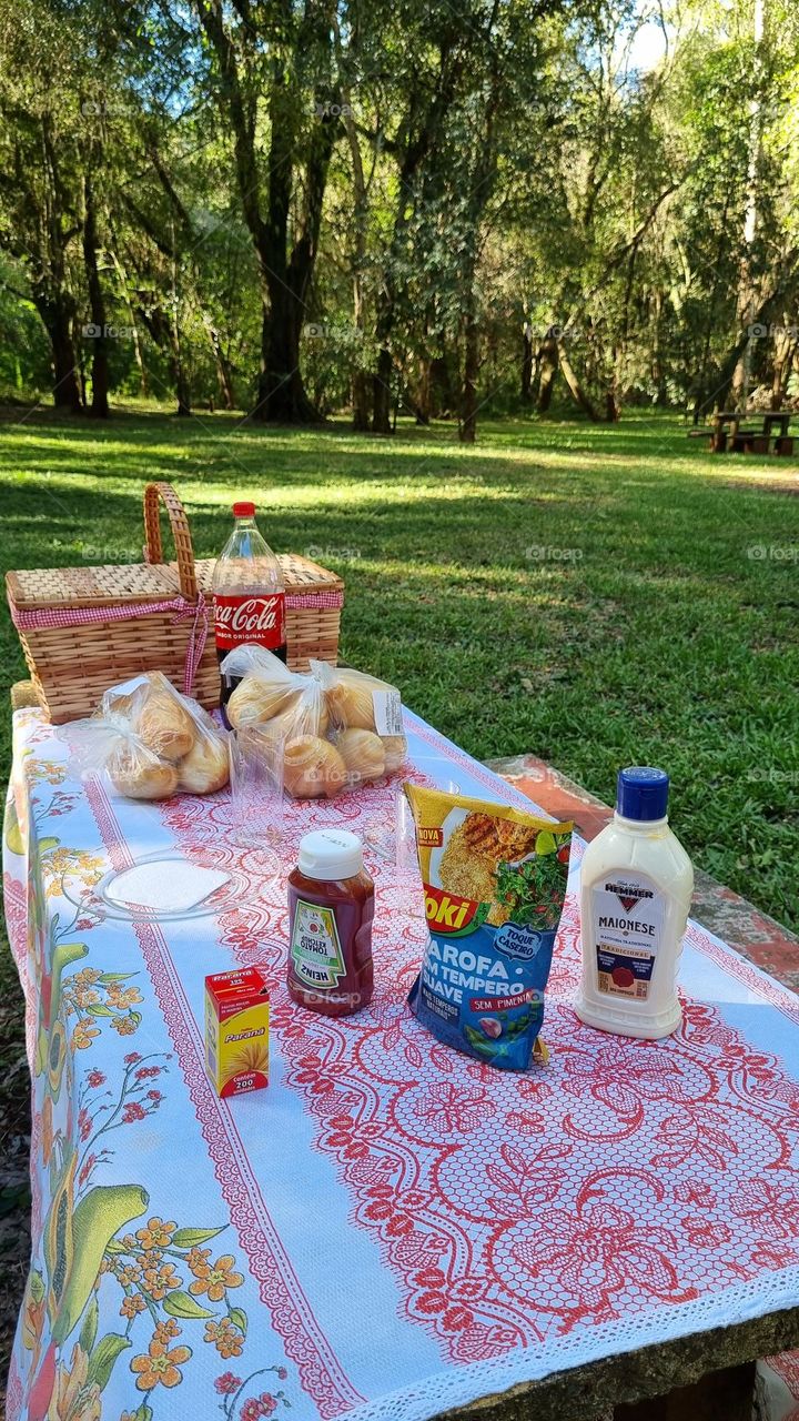 Urban nature: picnic in the park