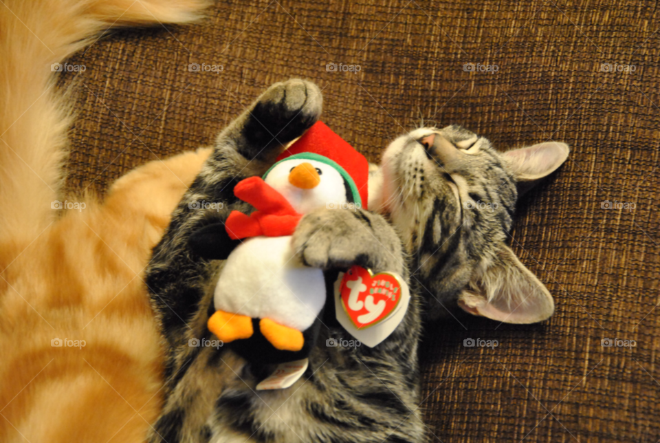 yellow red white black by ShutterBug_NikonGirl