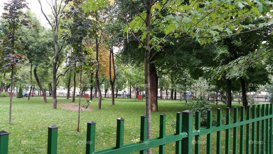 Parkland Bucharest