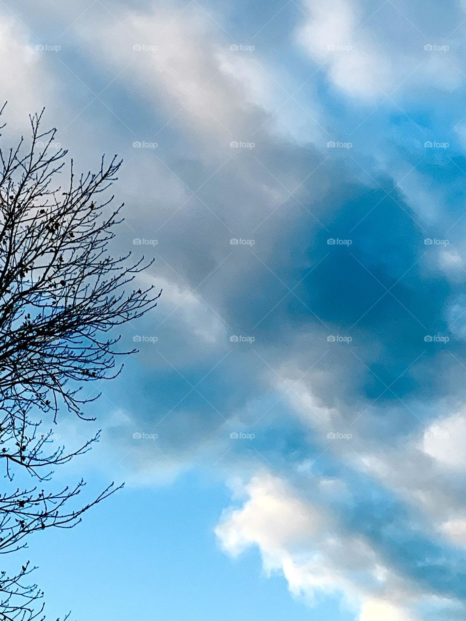 Puffy clouds 