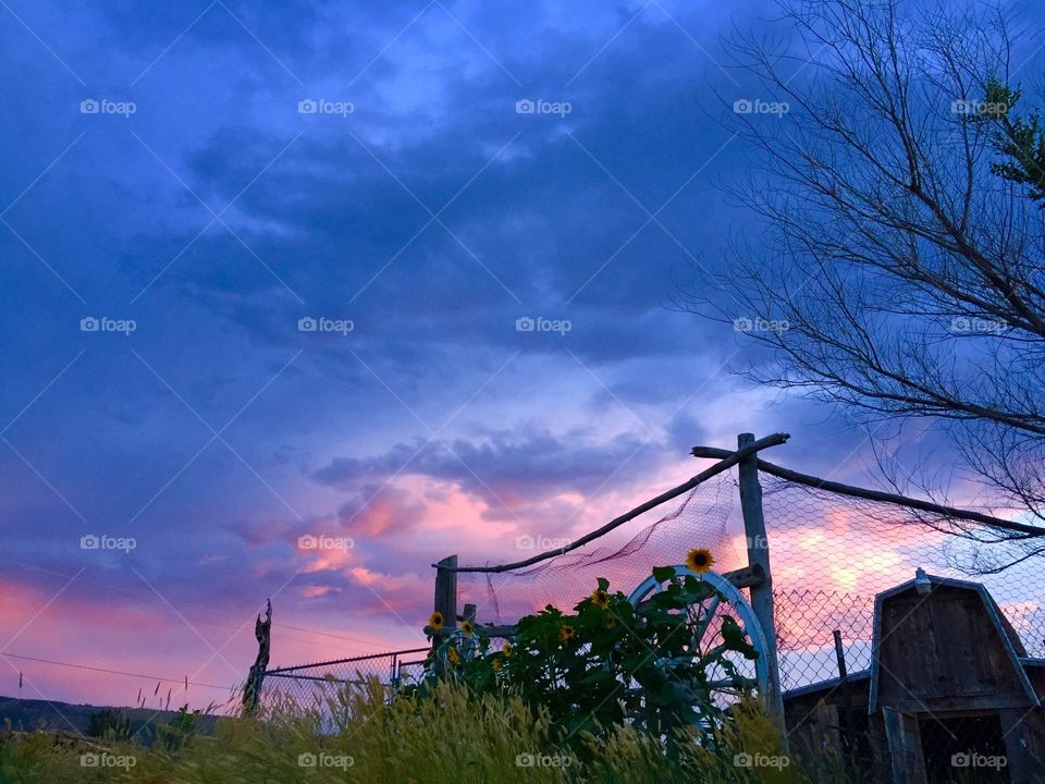 Pink and Blue Sunset. Another beautiful Wyoming sunset