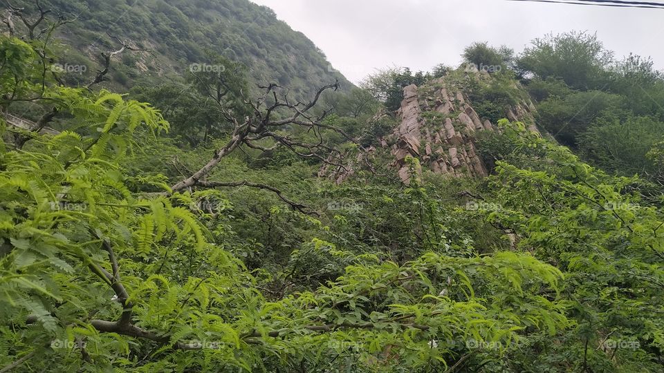 Green hills
I took this photo during the rainy season, the rain that comes during the rainy season, the trees which are there on the mountains are filled with greenery and the view there is very beautiful.