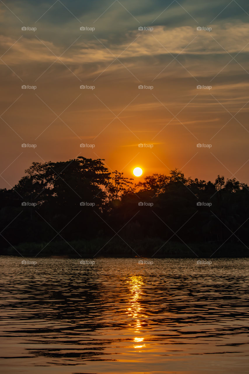 The beauty of a sunset behind a tree and orange sky ,Riverside